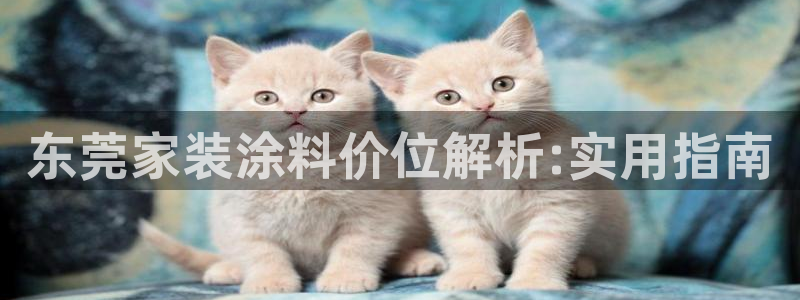 江苏和记餐饮有限公司：东莞家装涂料价位解析:实用指南