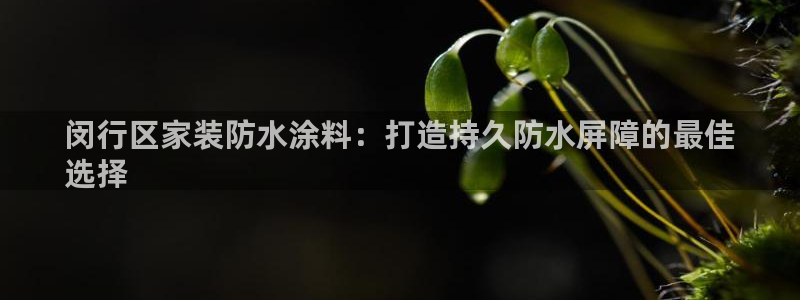 上海和记餐饮有限公司：闵行区家装防水涂料：打造持久防水屏障的最佳
选择