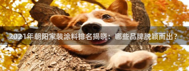 和记2017app：2021年朝阳家装涂料排名揭晓：哪些品牌脱颖而出？