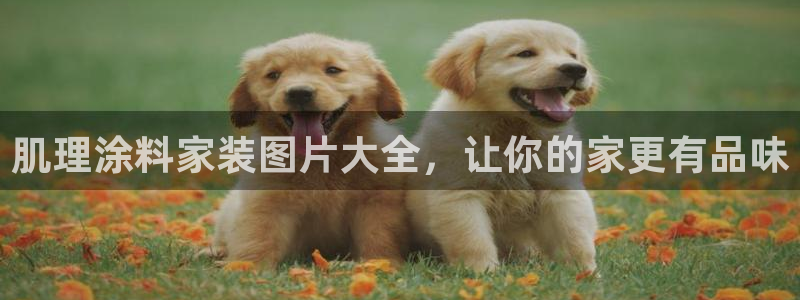 和记平台登录：肌理涂料家装图片大全，让你的家更有品味