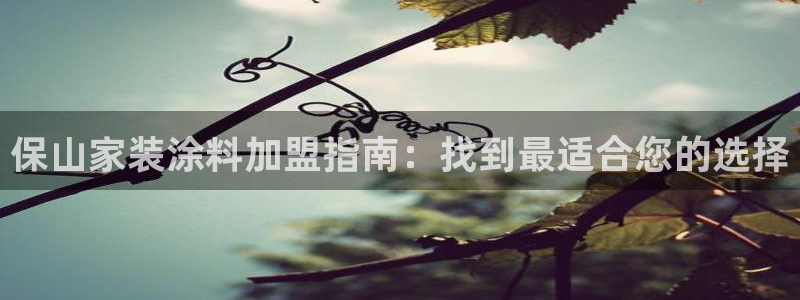 和记电业集团
