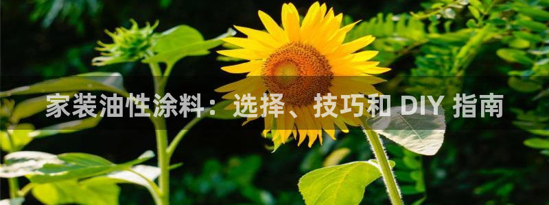 和记ag网页版：家装油性涂料：选择、技巧和 DIY 指南