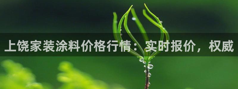 和记ag旗舰国际：上饶家装涂料价格行情：实时报价，权威