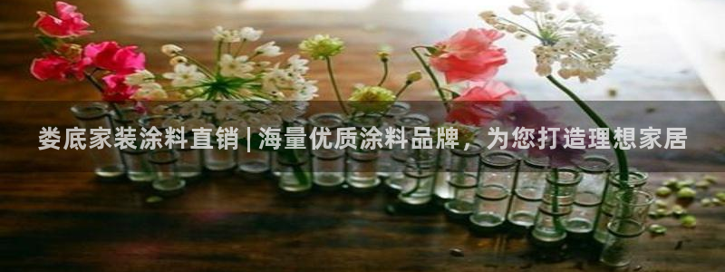 和记国际官网官网