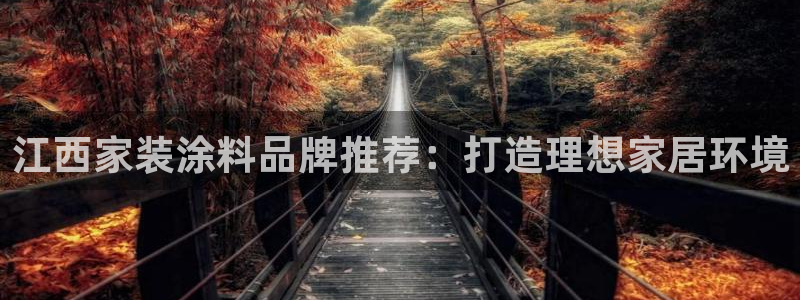 和记注册有什么送的：江西家装涂料品牌推荐：打造理想家居环境