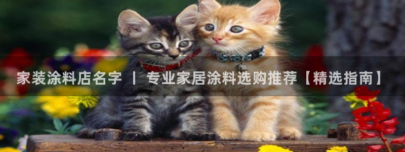 和记ag旗舰厅app：家装涂料店名字 丨 专业家居涂料选购推荐【精选指南】