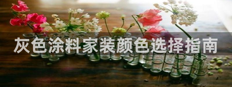 和记Ag：灰色涂料家装颜色选择指南