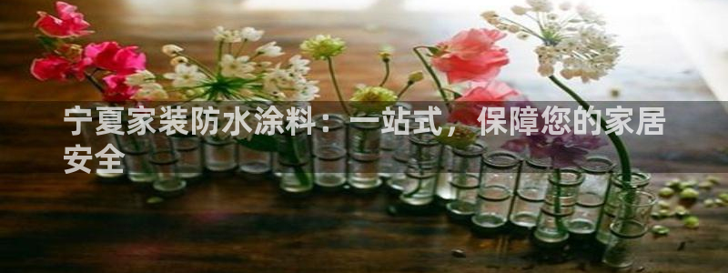 和记网页：宁夏家装防水涂料：一站式，保障您的家居
安全