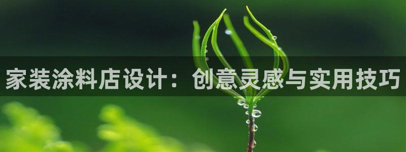 和记港口：家装涂料店设计：创意灵感与实用技巧