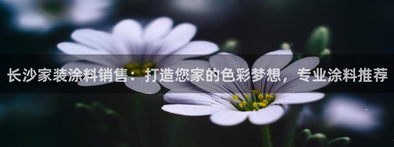 和记pc：长沙家装涂料销售：打造您家的色彩梦想，专业涂料推荐