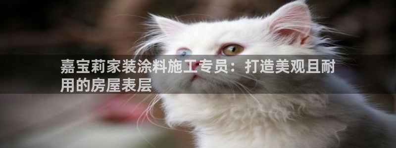 上海和记餐饮有限公司：嘉宝莉家装涂料施工专员：打造美观且耐
用的房屋表层