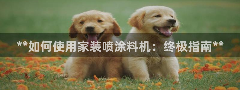 和记paging：**如何使用家装喷涂料机：终极指南**