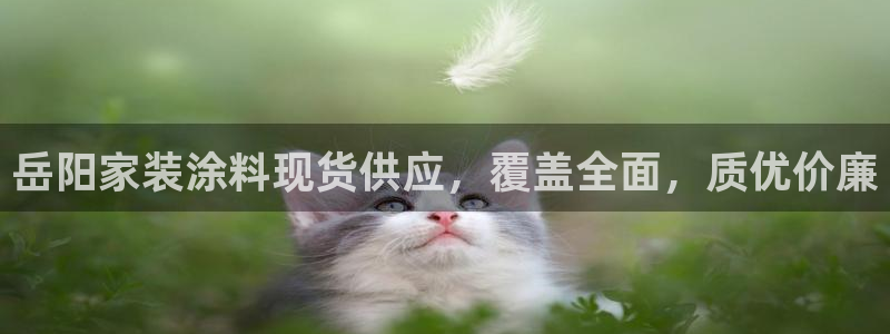 和记广告女主角：岳阳家装涂料现货供应，覆盖全面，质优价廉