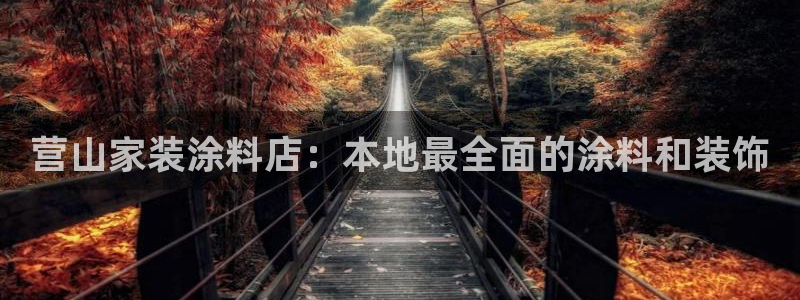 和记(福建)商贸有限公司：营山家装涂料店：本地最全面的涂料和装饰
