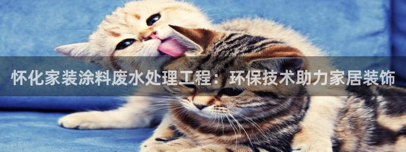 和记官网 公司：怀化家装涂料废水处理工程：环保技术助力家居装饰