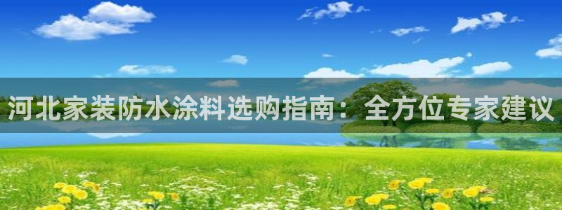 和记h88游戏：河北家装防水涂料选购指南：全方位专家建议