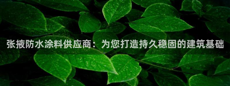 和记登陆：张掖防水涂料供应商：为您打造持久稳固的建筑基础