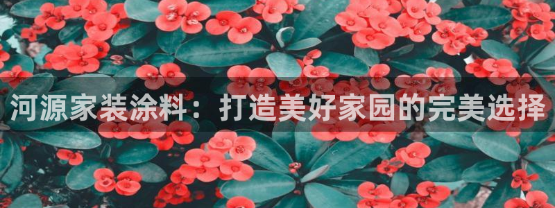 和记官网官方网站：河源家装涂料：打造美好家园的完美选择