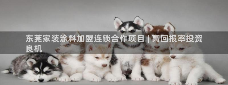 和记平台怎么样