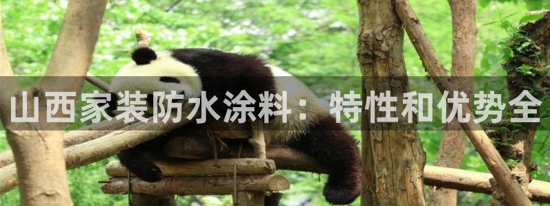 和记hj