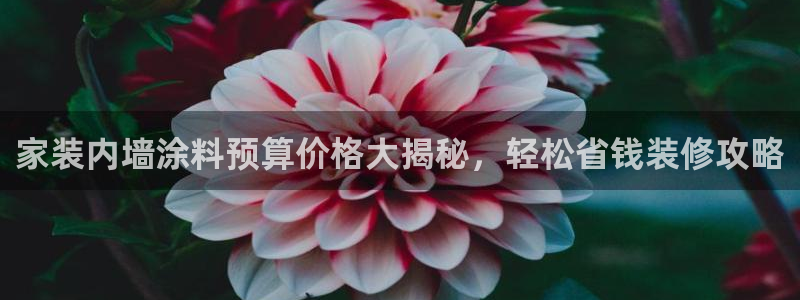 和记ag旗舰厅